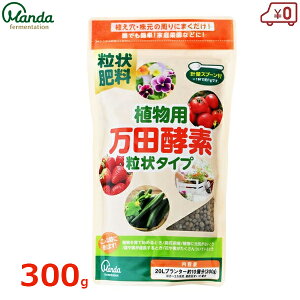 Apcyf ^Cv 엿 300g A  K[fjO ͍ ؉ ƒ؉  ȒP Ԓd