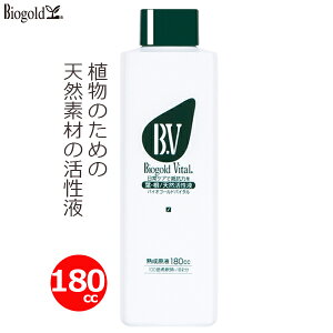 oCIS[hoC^ VRt 180cc A L@͔| ߃^Cv VRf ƒ؉ n[u K[fjO ^Ng