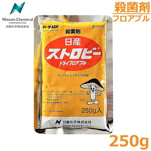 Eۍ Xgr[hCF 250g hCtAu _  Yw