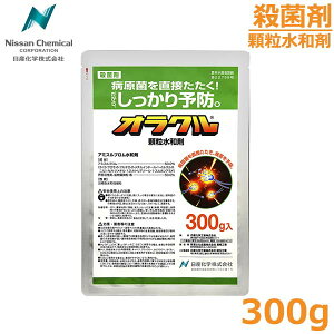 Eۍ INa 300g ԕa ΂ꂢ 󂻂a yQ _  Yw