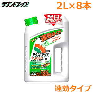  EhAbv }bNX[hAL2 2L×8{Zbg ^Cv _knp st  c l l G ΍