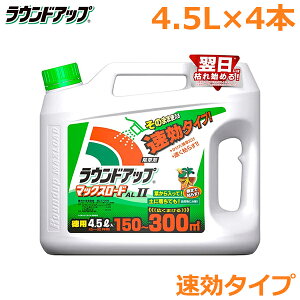  EhAbv }bNX[hAL2 4.5L×4{Zbg ^Cv _knp st  c l l G ΍