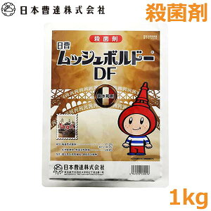 Eۍ bV{h[DF a 1kg _  񂫂 a ӂݕa a h {B