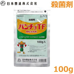 Eۍ p`TF a 100g _  ǂ񂱕a \h ΍ {B
