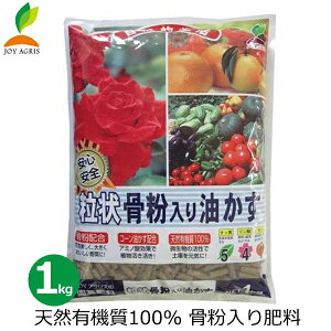 󍜕 L@엿 1kg Y 엿 L@ S L@͔| ƒ؉ Ԓd o KN ʎ ʎ  K[fjO JOYAOX