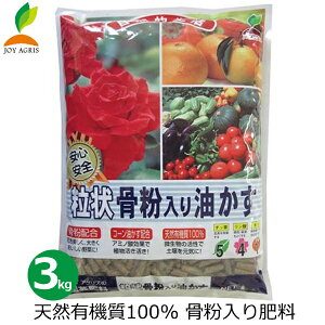 󍜕 L@엿 3kg Y 엿 L@ S L@͔| ƒ؉ Ԓd o KN ʎ ʎ  K[fjO JOYAOX
