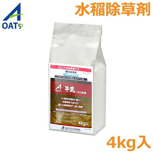  1L 4kg c ꔭ SURG c NG ΍ 쏜 _  OATAOI