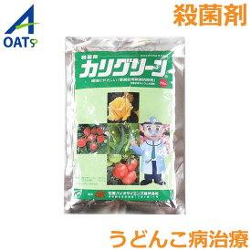 殺菌剤 カリグリーン 250g うどんこ病 カビ病 野菜 麦類 トマト 農薬 薬剤 OATアグリオ