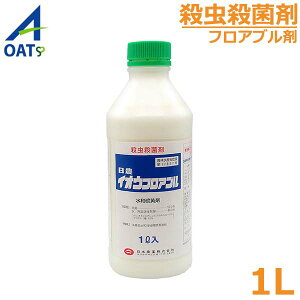 EEۍ CIEtAu 1L a ~JTr_j `mzR_j a ǂ񂱕a ѕa h _  OATAOI