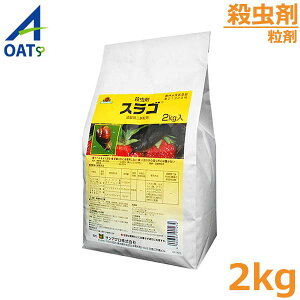 iNW쏜 E XS 2kg  J^c }C}C Q쏜 ΍ _  OATAOI