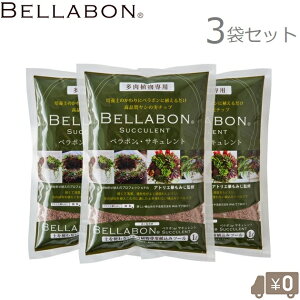 tWbN A̓y x{ TLg 1L×3 ͔|p`bv V̎`bv GPxA nI`A T{e Z_