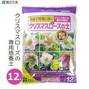 Ԃ NX}X[Y̓y 12L |{y NX}X[Y p y Y A ƒp | K[fjO