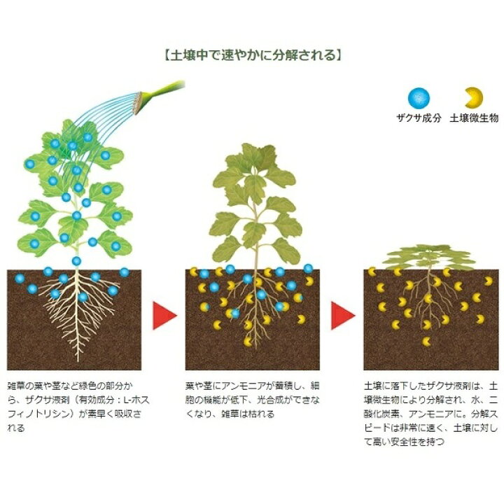 楽天市場 ザクサ液剤 除草剤 除草液 500ml 希釈タイプ 散布 噴霧 除草 グルホシネート 畑 果園 畦 水田 稲 畦畔 雑草 日陰 家庭菜園 庭 駐車場 お墓 Meiji ｓ ｓ ｎ