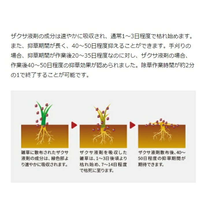 楽天市場 ザクサ液剤 除草剤 除草液 500ml 希釈タイプ 散布 噴霧 除草 グルホシネート 畑 果園 畦 水田 稲 畦畔 雑草 日陰 家庭菜園 庭 駐車場 お墓 Meiji ｓ ｓ ｎ