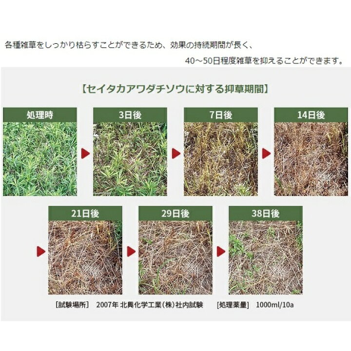 楽天市場 ザクサ液剤 除草剤 除草液 500ml 希釈タイプ 散布 噴霧 除草 グルホシネート 畑 果園 畦 水田 稲 畦畔 雑草 日陰 家庭菜園 庭 駐車場 お墓 Meiji ｓ ｓ ｎ