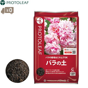 vg[t o̓y 5L opy KNpy KNp̓y o͔|p |{y 