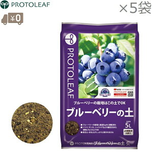 vg[t u[x[̓y 25L(5L×5) u[x[͔|y u[x[py |{y ͔|p ccW TcL