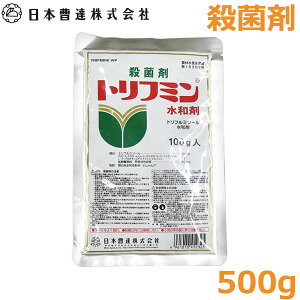 Eۍ gt~ a 500g _ aQ h ΍ ǂ񂱕a a Ԑa {B