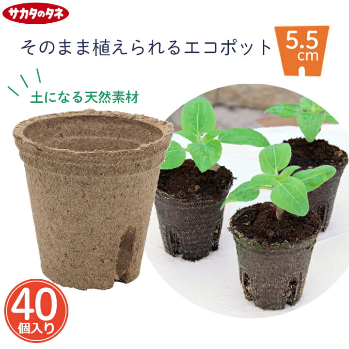 楽天市場】サカタ 育苗ポット 天然素材 ジフィーポット 5.5cm 丸 40個 