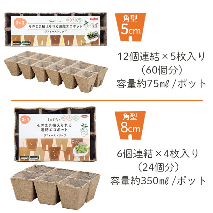 育苗ポット sポット60 Sポット60 黒 ブラック 6cm スリット鉢 プラ鉢 100個セット 多肉