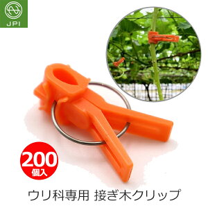 ږ؃Nbv ږ؃th 200 Eȗp IW ڂ ږ Nbv Wx Ԃǂ uhE͔| ڈ c  {sAXH