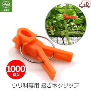 ږ؃Nbv ږ؃th 1000 Eȗp IW ڂ ږ Nbv Wx Ԃǂ uhE͔| ڈ15×25mm c  {sAXH