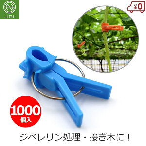 ږ؃Nbv ږ؃th 1000 ֎qȗp u[ ڂ ږ Nbv c  Wx Ԃǂ ͔| ڈ {sAXH