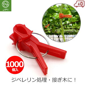 ږ؃Nbv ږ؃th 1000 ֎qȗp bh ڂ ږ Nbv c  Wx Ԃǂ ͔| ڈ {sAXH