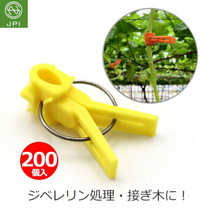 ږ؃Nbv ږ؃th 200 ֎qȗp CG[ ڂ ږ Nbv c  Wx Ԃǂ ͔| ڈ {sAXH