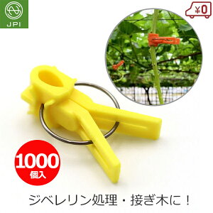 ږ؃Nbv ږ؃th 1000 ֎qȗp CG[ ڂ ږ Nbv c  Wx Ԃǂ ͔| ڈ {sAXH