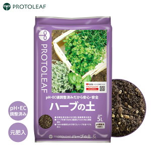 vg[t n[u̓y 5L n[u͔| L@|{y  AJ n[u L@ y | K[fjO