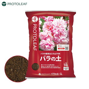 vg[t o̓y 14L o |{y KN̓y op  o͔| KNp KN y y |