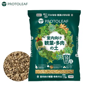 vg[t ϗtA̓y 8.4L 10p  A̓y |{y  sgp ϗtA A