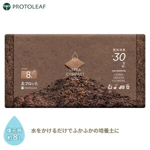 vg[t yubN 8L k|{y  RRV 엿 łǂ |{y RpNg k y | K[fjO