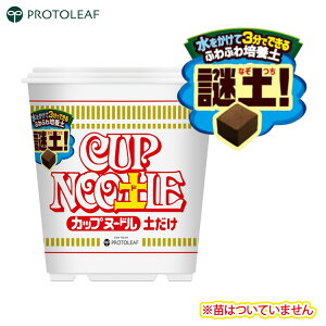 vg[t Jbvk[y y 5L k|{y  RRVK nXN`bv 엿 łǂ |{y k y