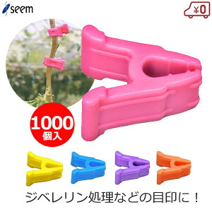 Wx}[J[ rrbƁI 1000 Wx Nbv Wx Ԃǂ ͔| sN CG[ u[ p[v IW ڈ U ږ ڂ c V[