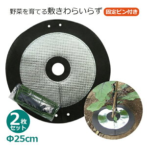 ������炢�炸 25cm 2������ �Œ�s���t�� �~���m �~����� �~���m�V�[�g �Q���΍� ���悯 ������ �}���`���O�� �G�� �΍� ��� �ƒ�؉� �� �t�H���X�g
