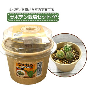 T{e ͔|Lbg ͔|Zbg    |{y A ~jTCY T{e͔|Zbg tHXg