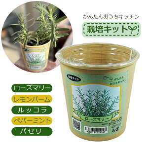  ͔|Lbg  ͔|Zbg ~jTCY [Y}[ o[ bR yp[~g pZ S ƒ؉Lbg A琬 ȒP y 