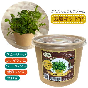  ͔|Lbg  ͔|Zbg ~jTCY xr[[t fBbV [t^X t˂ ē^X S ƒ؉Lbg A琬 ȒP y 