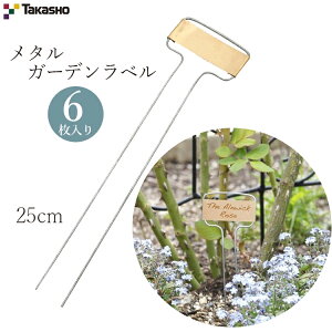 ^JV[ ^t[x 25cm 6  l[^O K[fjO A ͔| | n[u