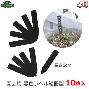 ZteB|3 |px 6cm 10 |x  ubN Z^ 11.5×60mm K[fx t[x l[^O |^O K[fjO ͔| | n[u ܂