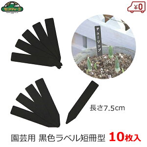 ZteB|3 |px 7.5cm 10 |x  ubN Z^ 13×75mm K[fx t[x l[^O |^O K[fjO ͔| | n[u ܂