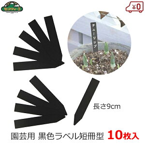 ZteB|3 |px 9cm 10 |x  ubN Z^ 15×90mm K[fx t[x l[^O |^O K[fjO ͔| | n[u ܂