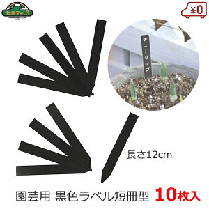 ZteB|3 |px 12cm 10 |x  ubN Z^ 15×120mm K[fx t[x l[^O |^O K[fjO ͔| | n[u ܂