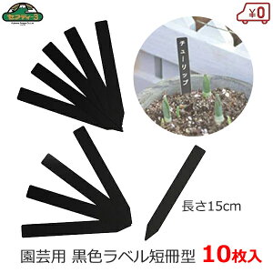 ZteB|3 |px 15cm 10 |x  ubN Z^ 18×150mm K[fx t[x l[^O |^O K[fjO ͔| | n[u ܂