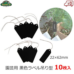 ZteB|3 |px 6.2cm 10 |x  ubN ݂艺^ 22×62mm K[fx |^O t[x l[^O K[fjO ͔| | n[u ܂