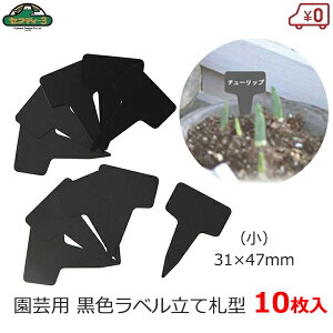 ZteB|3 |px ĎD^  10 |x  ubN Y^ 31×47mm K[fx |^O t[x l[^O K[fjO ͔| | n[u ܂