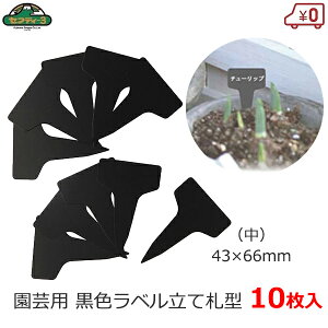 ZteB|3 |px ĎD^  10 |x  ubN Y^ 43×66mm K[fx |^O t[x l[^O K[fjO ͔| | n[u ܂