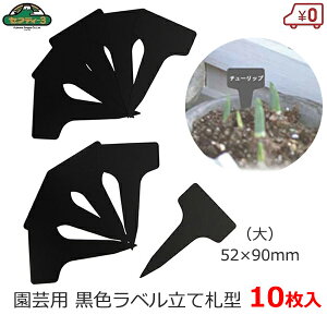 ZteB|3 |px ĎD^  10 |x  ubN Y^ 52×90mm K[fx |^O t[x l[^O K[fjO ͔| | n[u ܂